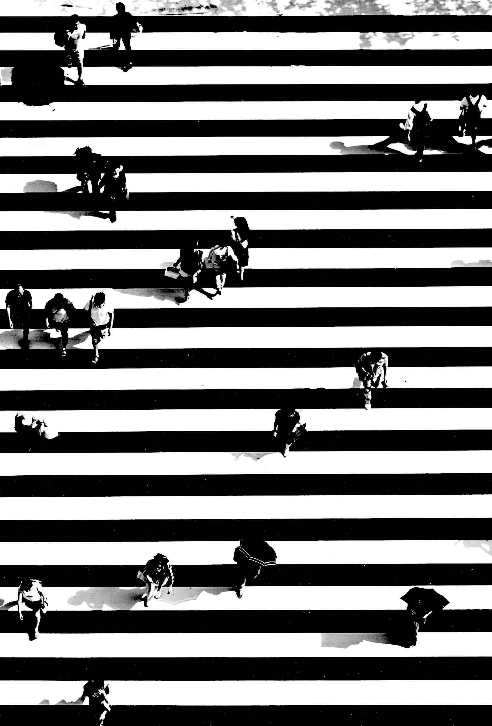 people walking on crosswalk